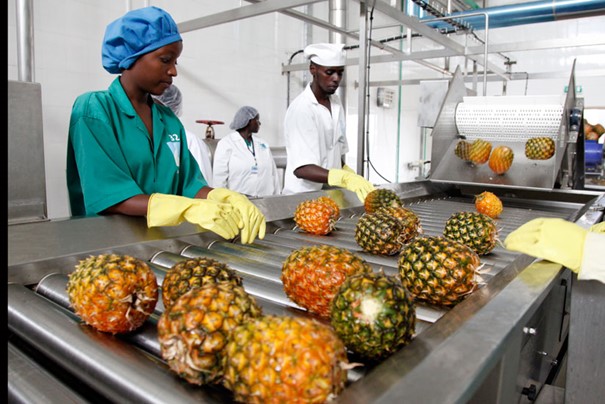 Agro-transformation: une opportunité de formation de courte durée pour 100 jeunes