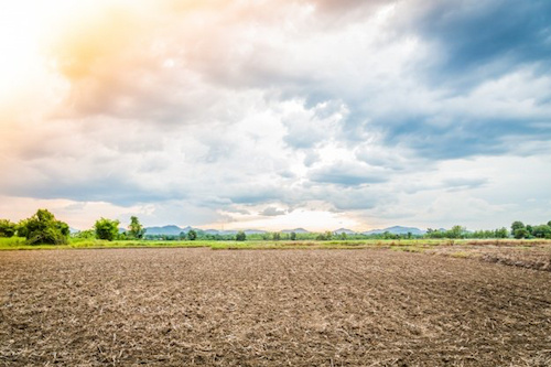 Des entreprises recherchées pour l’aménagement de 8000 hectares de terres agricoles