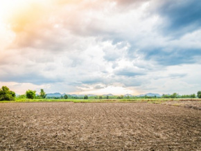 Des entreprises recherchées pour l’aménagement de 8000 hectares de terres agricoles