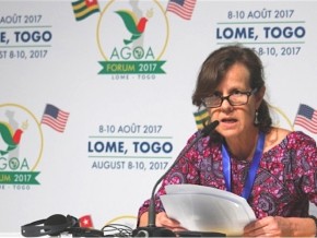 Programme Treshold : le Togo a reçu l’aval du Comité d’investissement du MCC