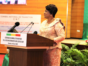 Coopération interparlementaire : la Présidente de l’Assemblée Nationale au Mali