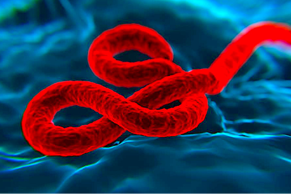 Ebola : le Gouvernement invite à la vigilance