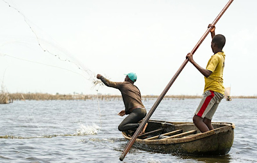 Les activités de pêche sur le Lac Nangbéto officiellement rouvertes