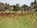 Agriculture : le Togo obtient 300 millions $ de la Banque mondiale pour renforcer le secteur