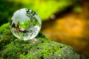 Environnement : le Togo lance l’initiative pour la transparence climatique