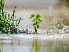 Météo : des pluies abondantes et des risques de débordements des bassins jusqu’en juin