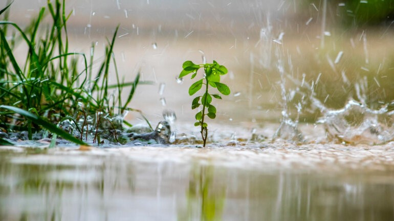 Météo : des pluies abondantes et des risques de débordements des bassins jusqu’en juin