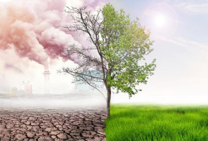 Changement climatique : le gouvernement mobilise les communes