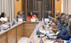 IDH : les performances du Togo présentées aux médias