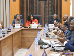 IDH : les performances du Togo présentées aux médias
