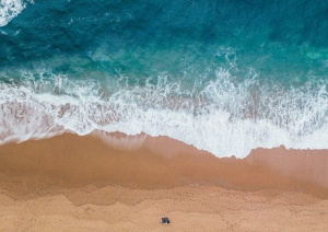 Les métiers de la mer et l’économie bleue à découvrir lors de Journées Portes Ouvertes à l’Université de Lomé