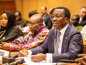 diplomatie-parlementaire-a-geneve-le-togo-appelle-a-l-action-collective-pour-une-paix-et-une-securite-internationale