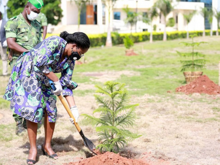 Journée de l’arbre : plus de 500 000 plants mis en terre