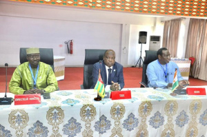 Architecture et urbanisme : &agrave; Lom&eacute;, les experts planchent sur les r&eacute;formes &agrave; l&rsquo;EAMAU