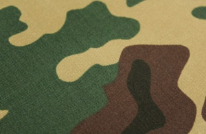 Promu Général de Brigade, Dimini Allaharé nouveau chef d’état-major général des FAT