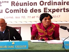 Début de la réunion des Experts, en prélude au Conseil des Ministres de l’Entente