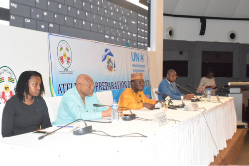 COP 27 : le Togo se prépare