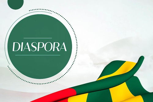 HCTE : les 48 nouveaux délégués de la diaspora sont connus