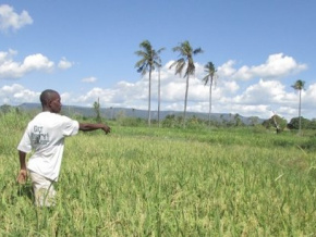 Vers une assurance agricole au profit des producteurs togolais
