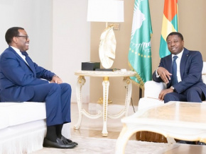 Industrialisation, santé, routes…, le chef de l’Etat a échangé avec le président de la BAD
