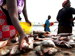 Au Togo, la pêche artisanale en croissance