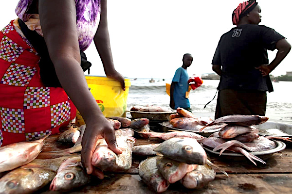 Au Togo, la pêche artisanale en croissance