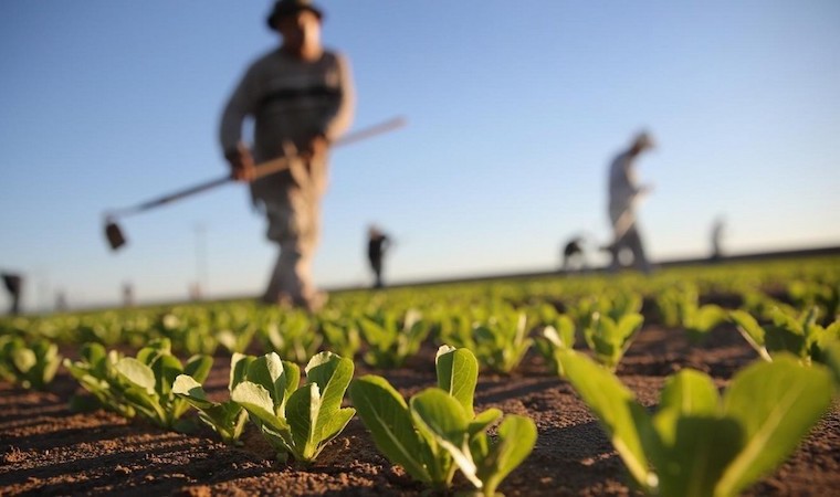 Le Mifa lance une campagne d’enregistrement et d’identification des acteurs de la chaîne de valeur agricole