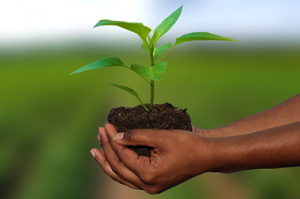 Un pas de plus vers l’assurance agricole au profit des producteurs togolais