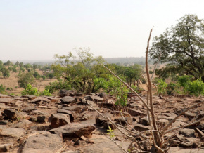 Restauration des terres dégradées : le Togo intensifie ses efforts