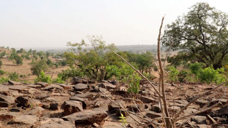 restauration-des-terres-degradees-le-togo-intensifie-ses-efforts