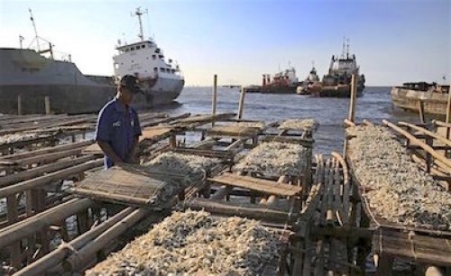 Construction d’un port de pêche moderne au Togo : le taux d’avancement des travaux est de 26,8%