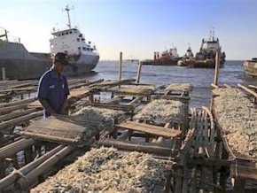 Construction d’un port de pêche moderne au Togo : le taux d’avancement des travaux est de 26,8%