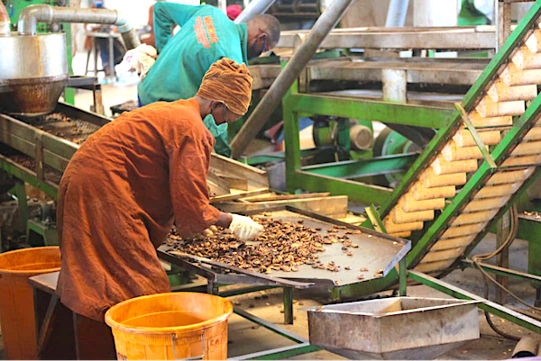 Appuyées par le Mifa, des entreprises portent la transformation agricole à l’intérieur du pays et créent des emplois