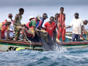 Pêche : 37 000 tonnes de poissons capturées de 2018 à 2019