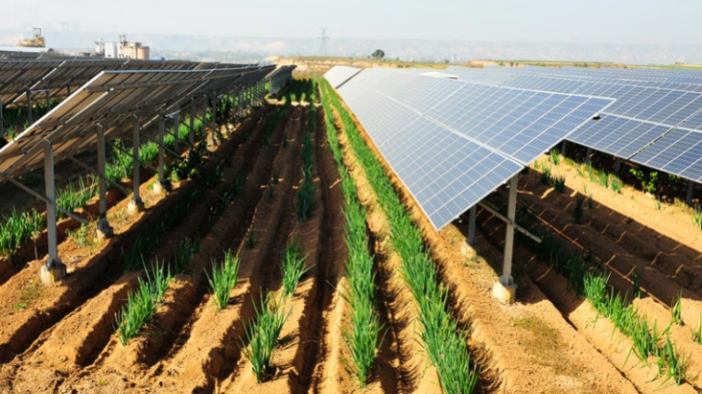 le-togo-et-trois-autres-pays-peaufinent-un-projet-agrivoltaique