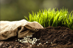 Campagne agricole 2021-2022 : les prix des engrais maintenus en baisse