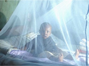 Togo : une enquête de l’INSEED révèle les succès enregistrés dans la lutte contre le paludisme