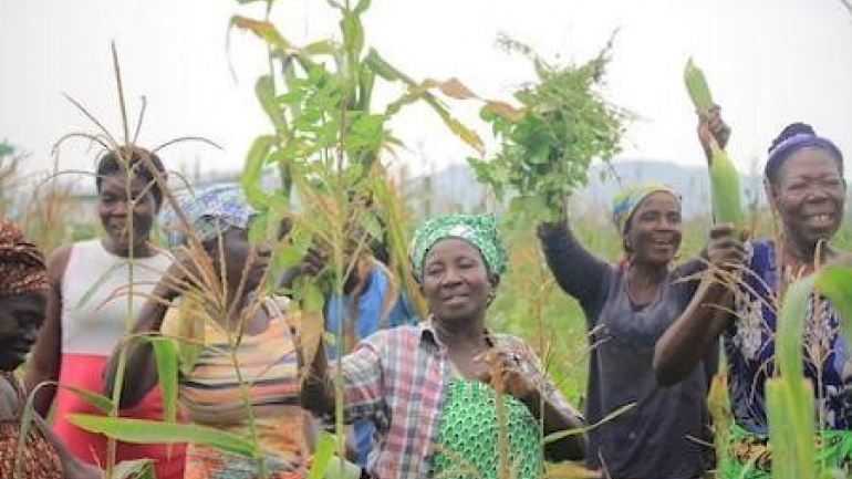Agropoles : à Kara, le projet ‘atteint sa vitesse de croisière’