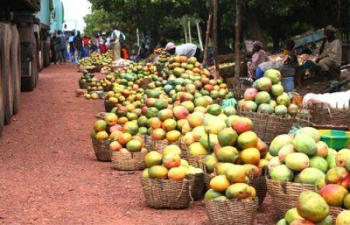 Un fonds soutenu par le groupe Edmond de Rothschild investit dans le secteur de l’agro-industrie au Mali