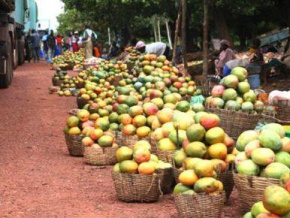 Un fonds soutenu par le groupe Edmond de Rothschild investit dans le secteur de l’agro-industrie au Mali