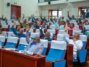 En route vers l&#039;Éco : le Togo va ratifier le nouvel accord de coopération monétaire entre l’Umoa et la France