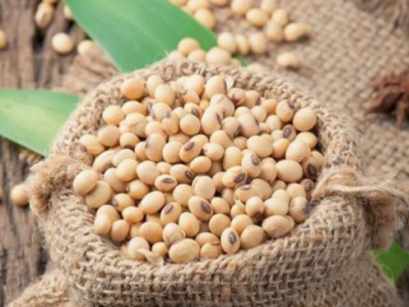 Coup d&#039;envoi de la campagne de commercialisation du Soja
