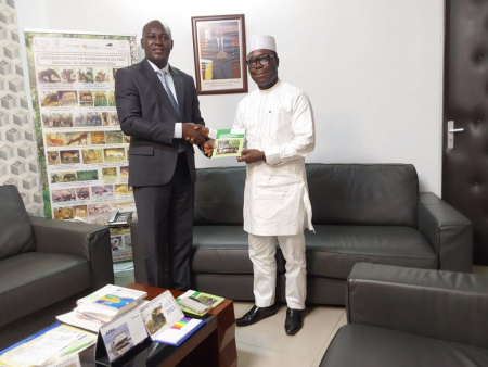 Bambou et Rotin : le Togo se dote d’une stratégie nationale de développement du secteur