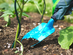 Plus de 120 000 tonnes d’intrants agricoles de qualité mis à disposition pour la nouvelle campagne