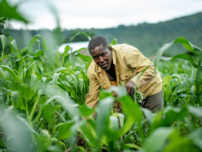 le-togo-valorise-l-agriculture-familiale