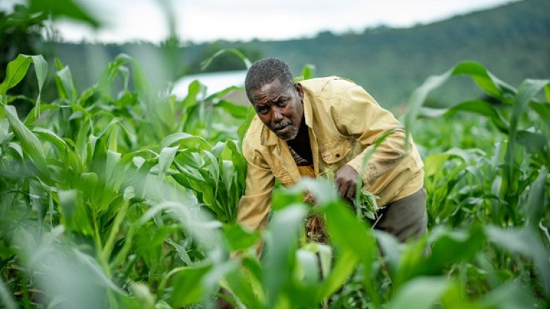 le-togo-valorise-l-agriculture-familiale