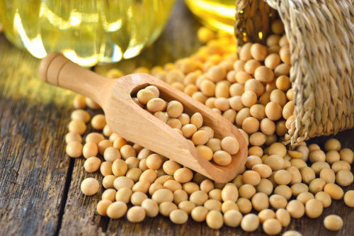 Soja : la fili&egrave;re valide un nouveau plan strat&eacute;gique et vise les 500.000 tonnes d&rsquo;ici &agrave; 2028