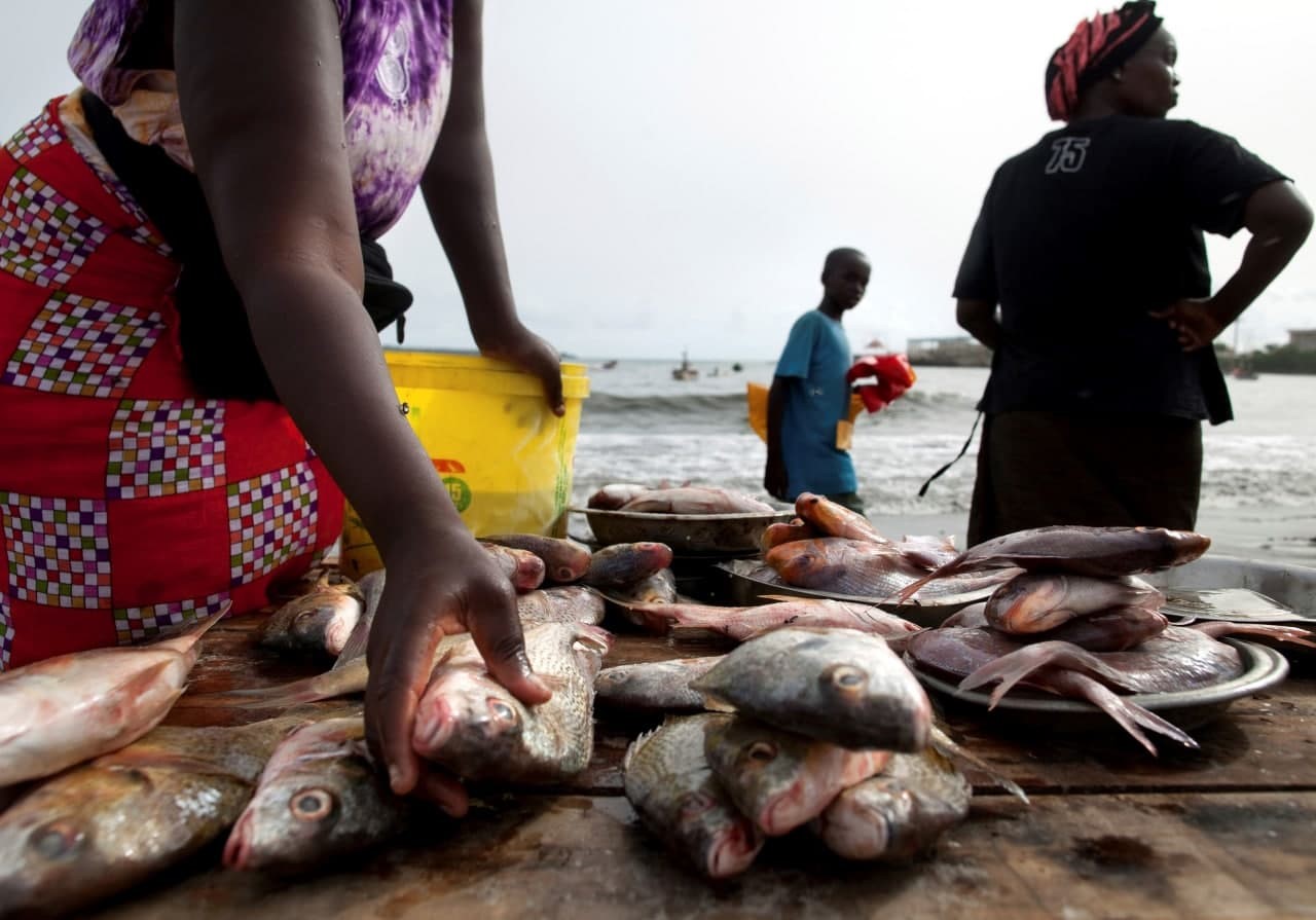 Aquaculture : entre 2020 et 2022, une production en constante progression