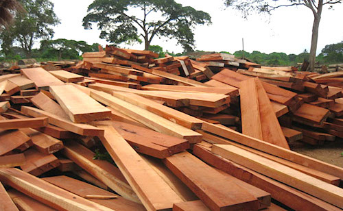 Le Togo abritera en décembre la 55ème session du Conseil international des bois tropicaux