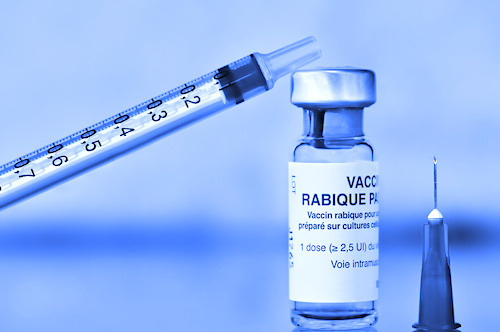 Lancement d&#039;une campagne de vaccination contre la rage canine humaine sur toute l&#039;étendue du territoire